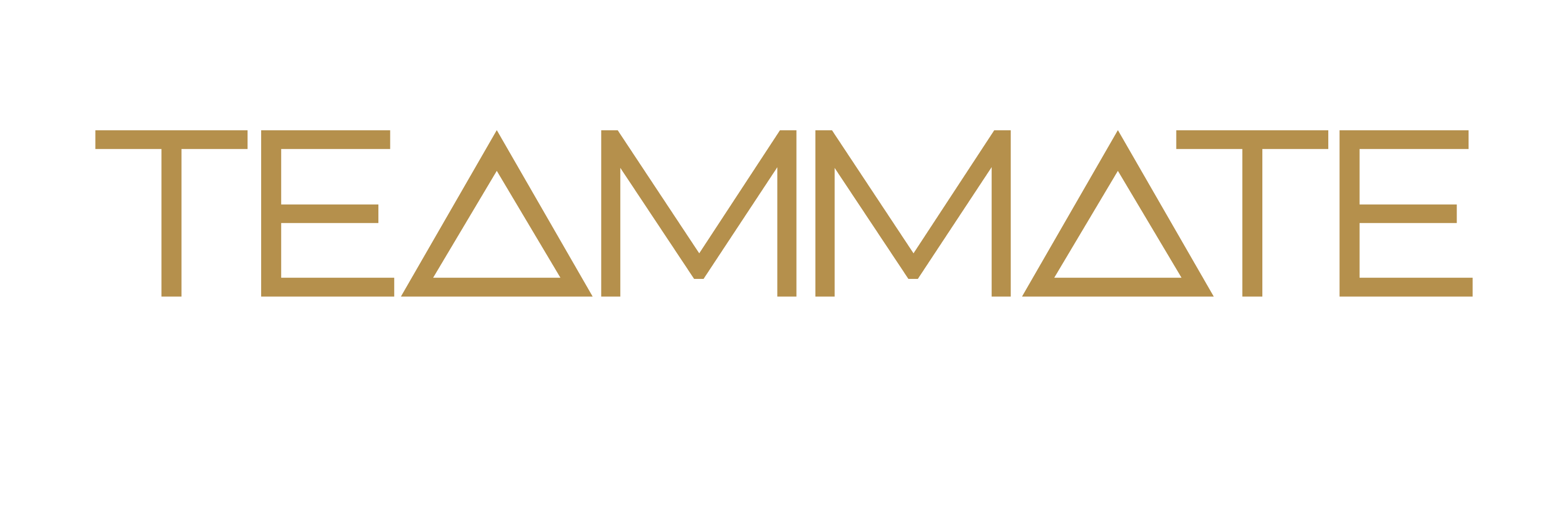 logo-nav-big