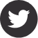 twitter-logo